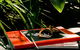 Veriu Camperdown - thumb 7