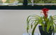 Veriu Camperdown - thumb 37