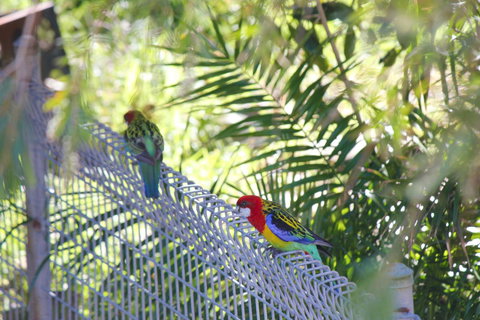 Marty's @ Little Beach - Darwin Holiday 27