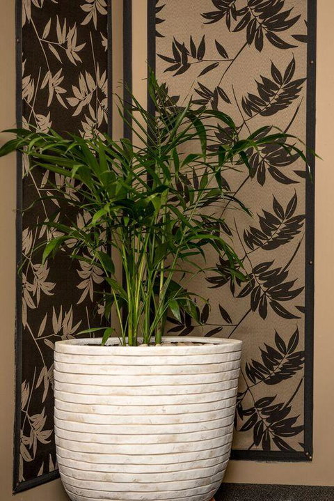 Mountainside B & B - Darwin Holiday 30