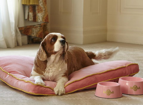 The Langham Sydney - Darwin Holiday 23