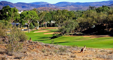 Desert Palms Alice Springs - Darwin Holiday 30