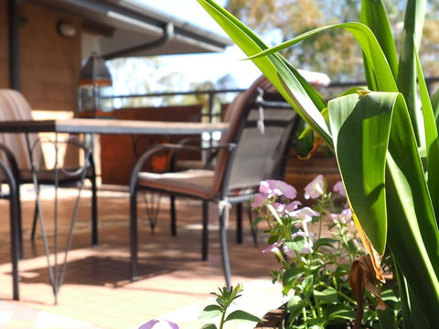 Wilmots On Dixon - Darwin Holiday 15