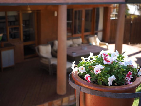 Wilmots On Dixon - Darwin Holiday 2