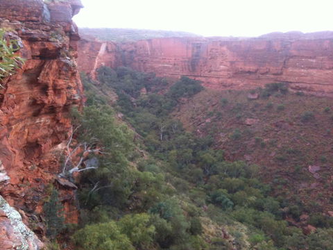 Discovery Resorts - Kings Canyon - Darwin Holiday 34