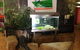 Melaleuca On Mitchell - Darwin YHA - thumb 32