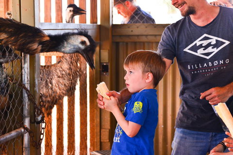 Erldunda Desert Oaks Resort - Darwin Holiday 13