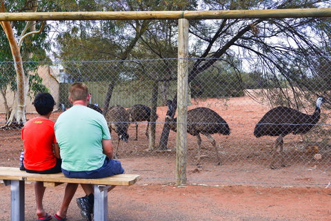Erldunda Desert Oaks Resort - Darwin Holiday 21