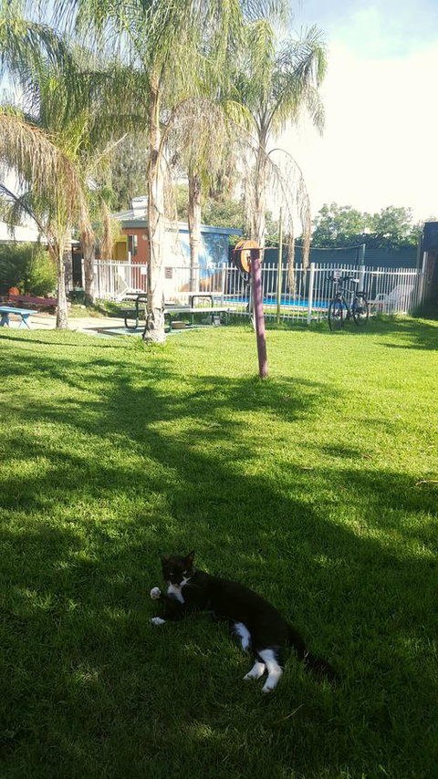 Alice Lodge - Darwin Holiday 26