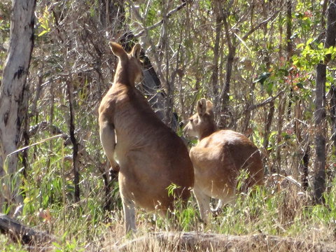 Mount Bundy Station - Darwin Holiday 40