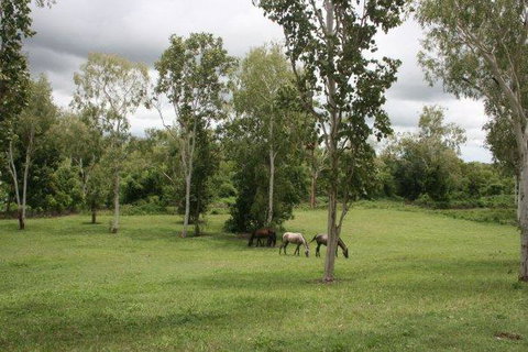 Mount Bundy Station - Darwin Holiday 25