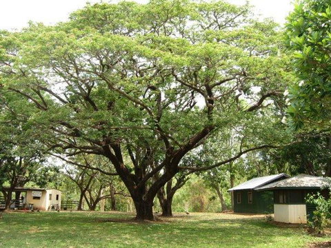 Mount Bundy Station - Darwin Holiday 26