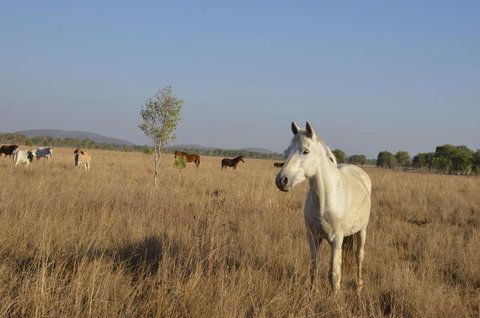 Mount Bundy Station - Darwin Holiday 43