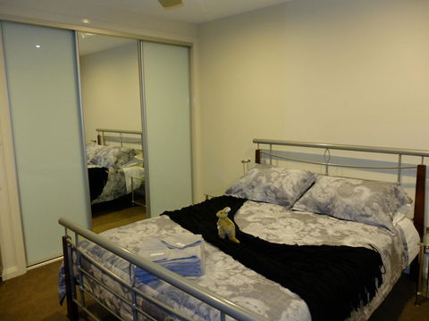 Rock Wallaby - Darwin Holiday 14