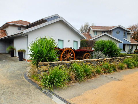 Rock Wallaby - Darwin Holiday 5