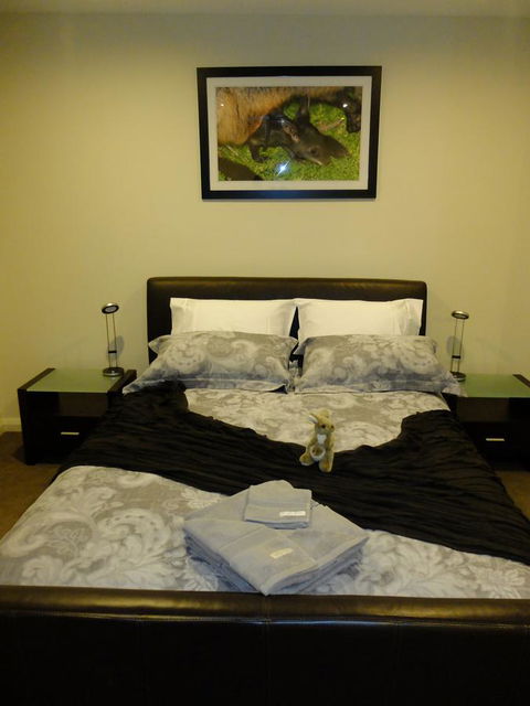 Rock Wallaby - Darwin Holiday 18