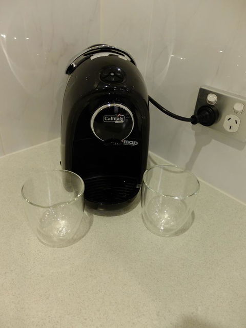 Rock Wallaby - Darwin Holiday 11