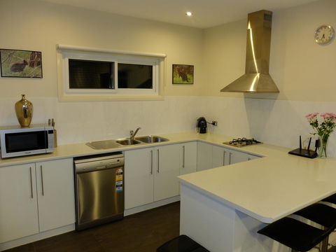 Rock Wallaby - Darwin Holiday 12