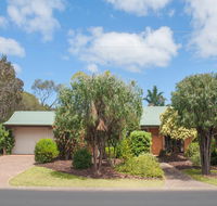 Bottlebrush - Darwin Holiday