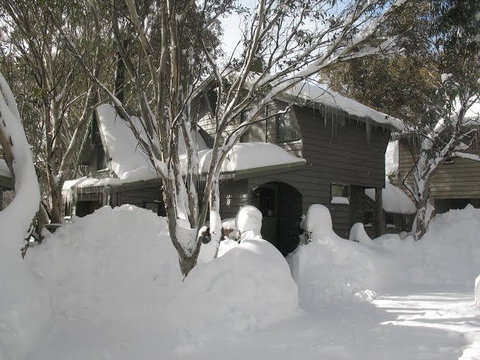 Bright-DPA - Darwin Holiday 0