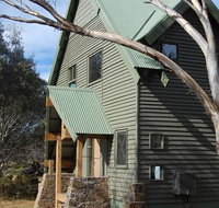 Buffalo - Darwin Holiday