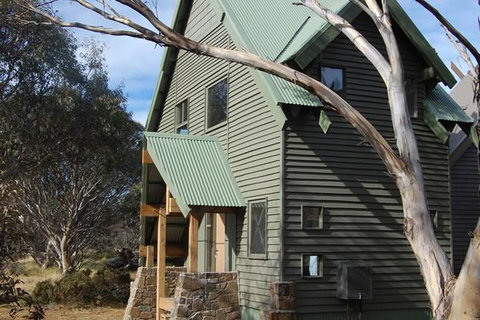 Buffalo - Darwin Holiday 0