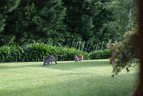 Bundanoon @2578 - Darwin Holiday 0