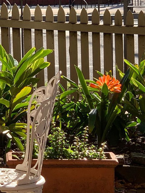 Burwood Bed And Breakfast - Darwin Holiday 3