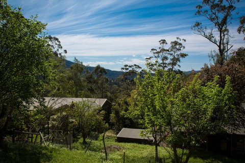 Buttercup Hill - Darwin Holiday 2