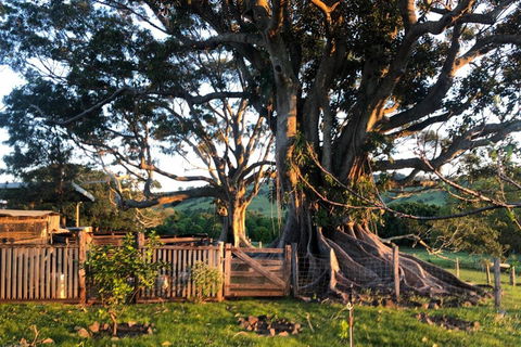 BYRON BAY'S HISTORIC BARNSTAY! - Darwin Holiday 2