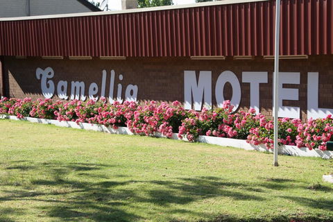 Camellia Motel - Darwin Holiday 2