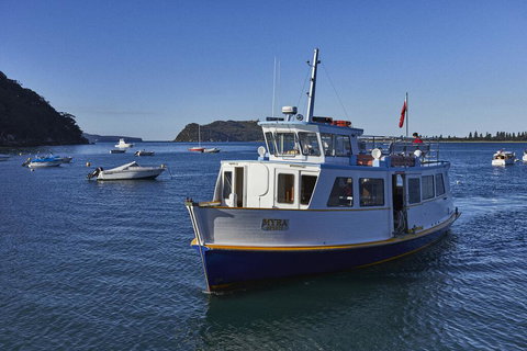 Cape Mackerel Cabin With Magic Palm Beach & Pittwater Views - Darwin Holiday 2