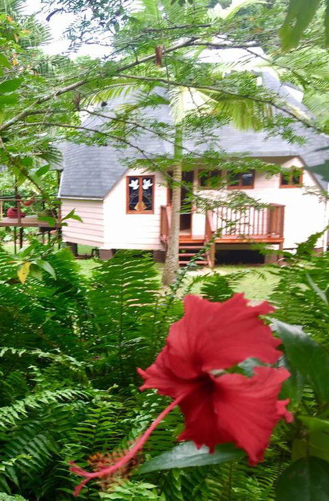 Cape Tribulation Holiday House - Darwin Holiday 3