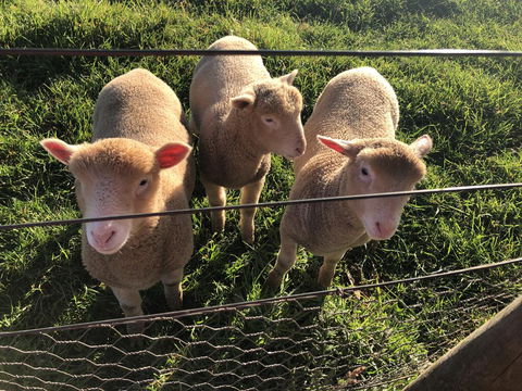 Cape View B And B - Darwin Holiday 3