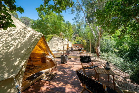 Castlemaine Gardens Luxury Glamping - Darwin Holiday 0