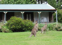 Book Mount Victoria Accommodation Vacations Darwin Holiday Darwin Holiday