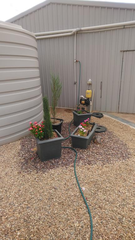 Chrissie's Dongara - Darwin Holiday 2