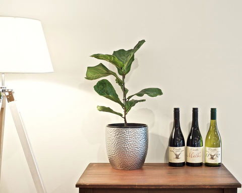 Cirillo Guest House - Darwin Holiday 2