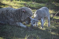 Book Boyland Accommodation Vacations Darwin Holiday Darwin Holiday