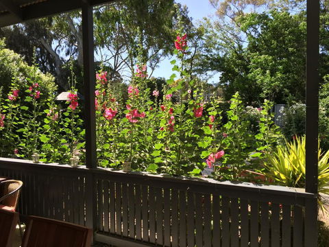 Clarevale Cottage B&B - Darwin Holiday 1
