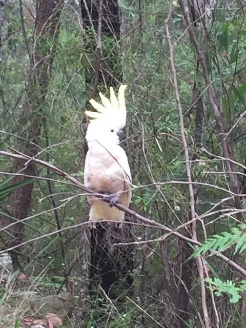 Comfortable Queen Sized Room Near Tuggerah Lake - Darwin Holiday 3