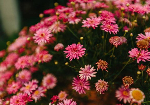 Comfortable, Outdoor Entertaining, Lake Walks - Darwin Holiday 1