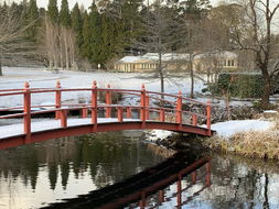 Book Mount Wilson Accommodation Darwin Holiday Darwin Holiday