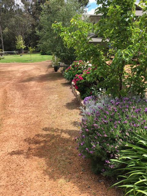 Coolajarra B&B - Darwin Holiday 2
