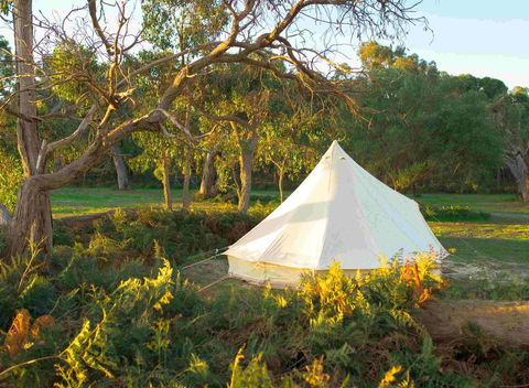 Coonawarra Bush Holiday Park - Darwin Holiday 0