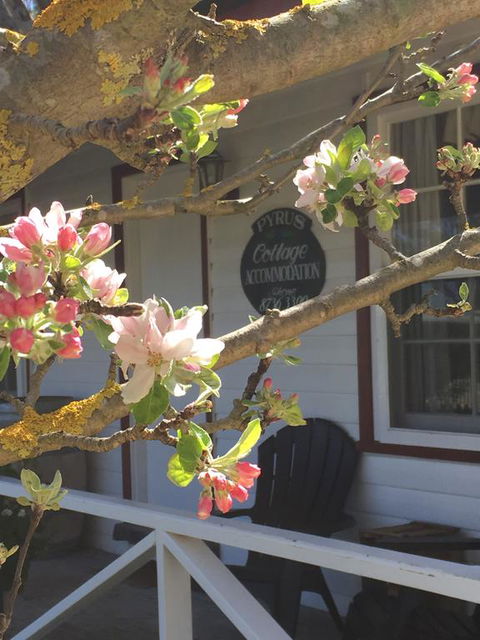 Coonawarra's Pyrus Cottage - Darwin Holiday 3