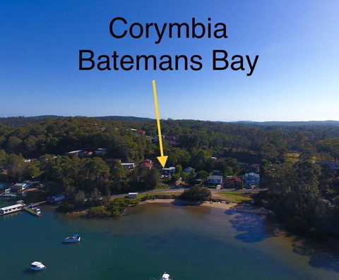 Corymbia Batemans Bay - Darwin Holiday 1