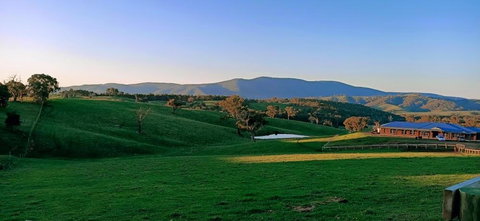 Country Budget - Darwin Holiday 1