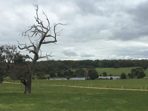 Country Farm House Close To Ballarat - Darwin Holiday 1
