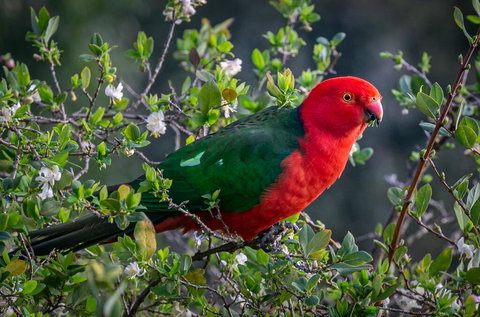 Country Paradise In The Gully - Darwin Holiday 2